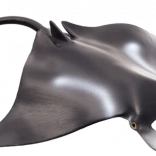 Mojo Mantarochen – realistische Figur