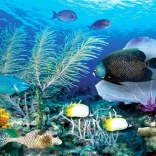 Diamantmalerei Ozean 80x40 cm