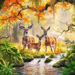 Puzzle 1000 Teile CASTORLAND Royal Family – Rehe und Hirsche im Wald
