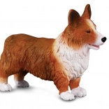 Figur Welsh Corgi von CollectA