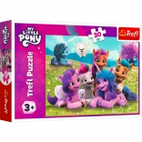 Puzzle Freundliche Ponys My Little Pony 30 Teile
