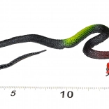 Gummischlange Dekoration für Halloween