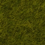 Statische Wiese Wilde Wiese 6 mm